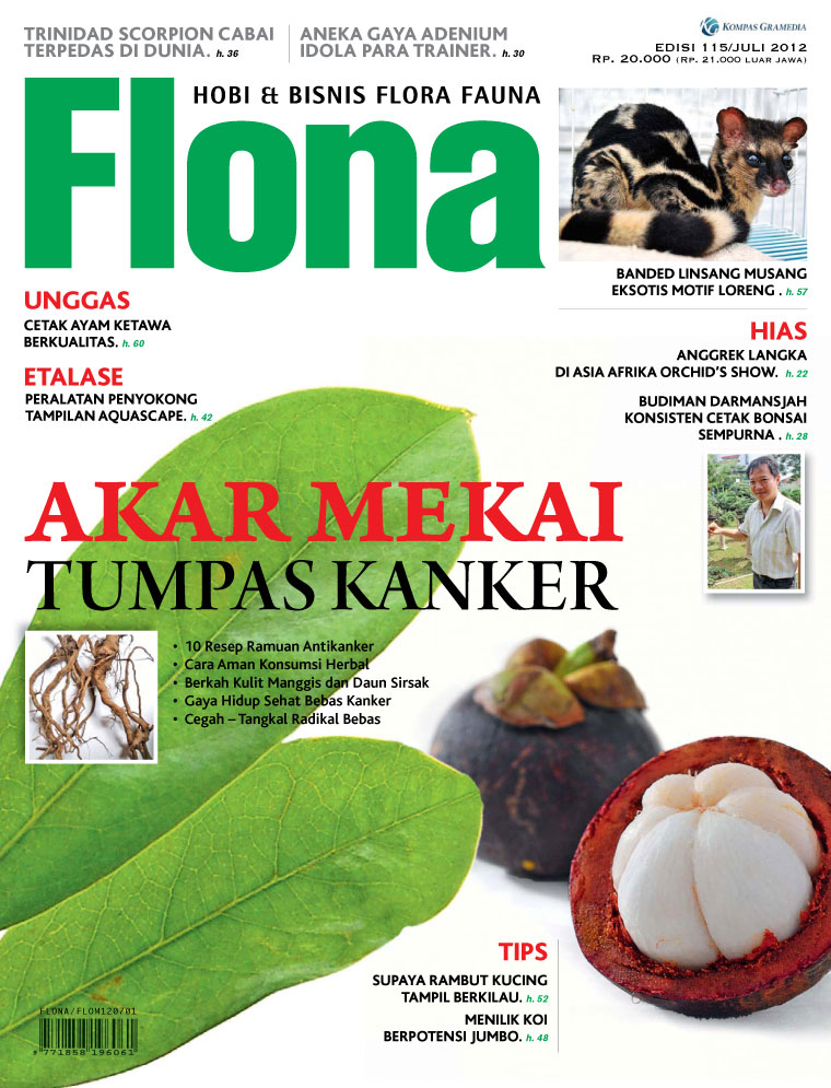 download majalah max pdf