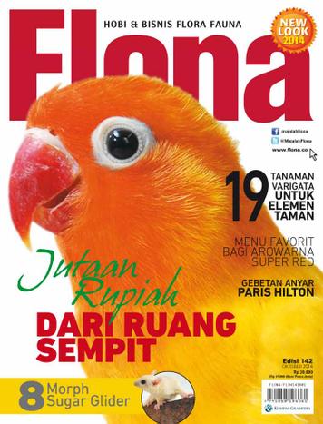 majalah flona