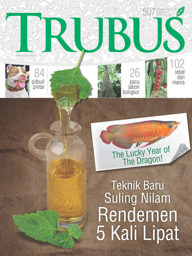 majalah trubus 2012 gratis